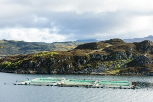 商業和家庭在線水質監測